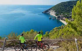 Case Vacanze L'Uliveto